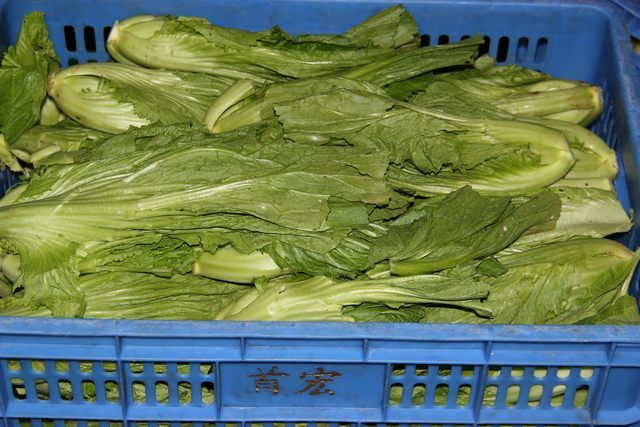 东莞伟德体育在线go公司蔬菜配送价格表 2025-10-27