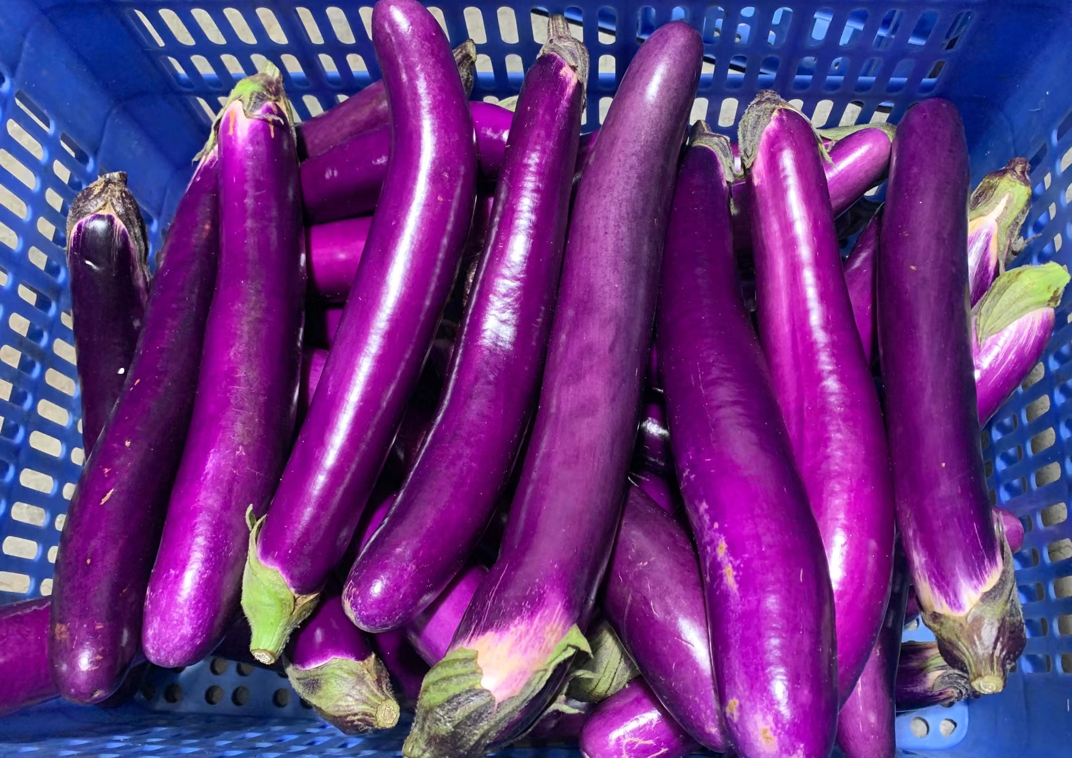 什么车配送蔬菜便宜又好