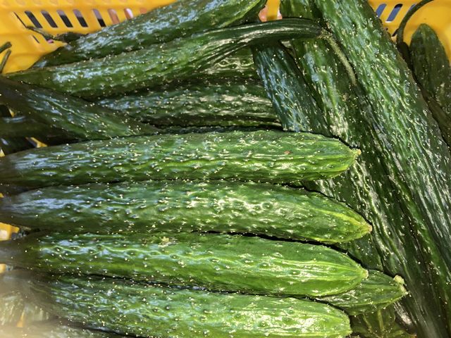 酒店蔬菜净菜配送工厂有哪些