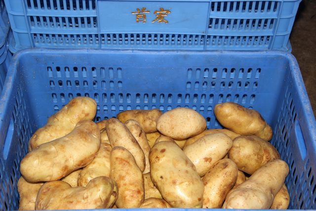 zc580194 zc580194