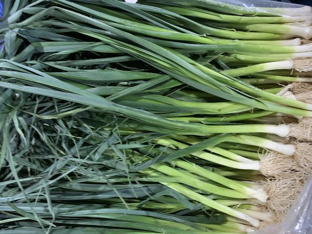 东莞伟德体育在线go公司蔬菜配送价格表 2025-11-17