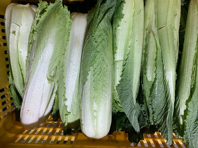 东莞伟德体育在线go公司水果配送价格表 2025-11-24