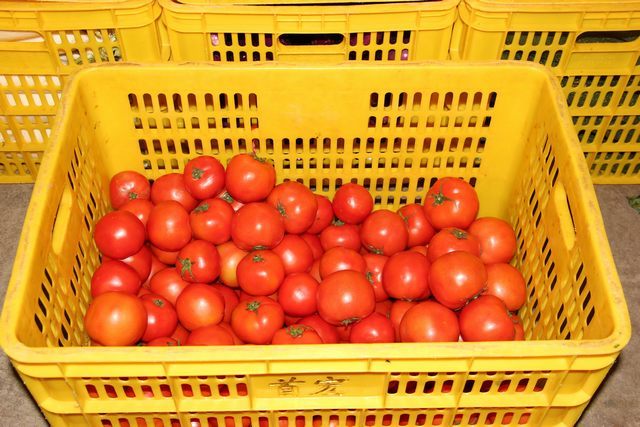 东莞伟德体育在线go公司水果配送价格表 2025-10-27