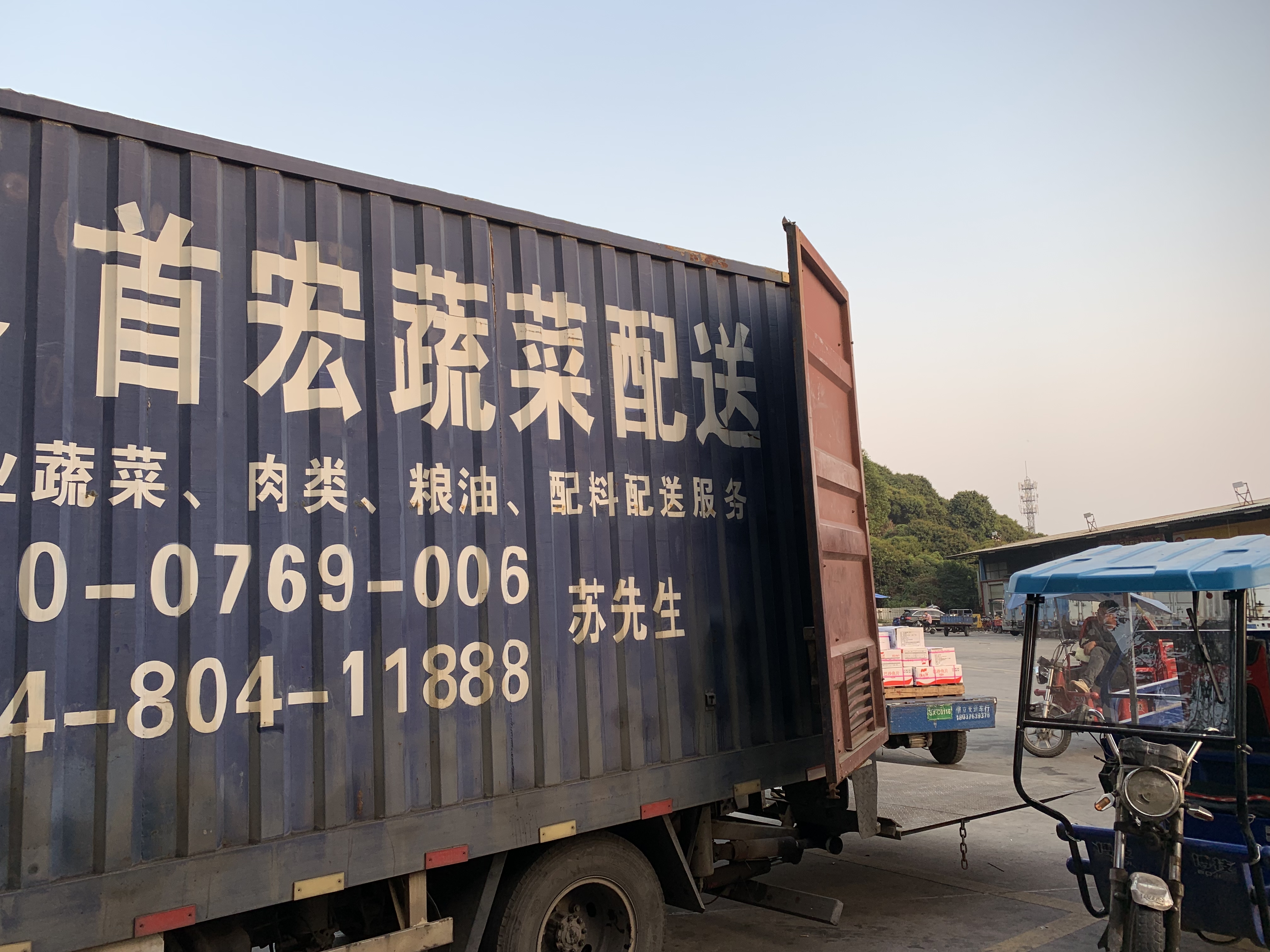 新鲜蔬菜配送公司哪家强，新鲜蔬菜配送公司火热上市