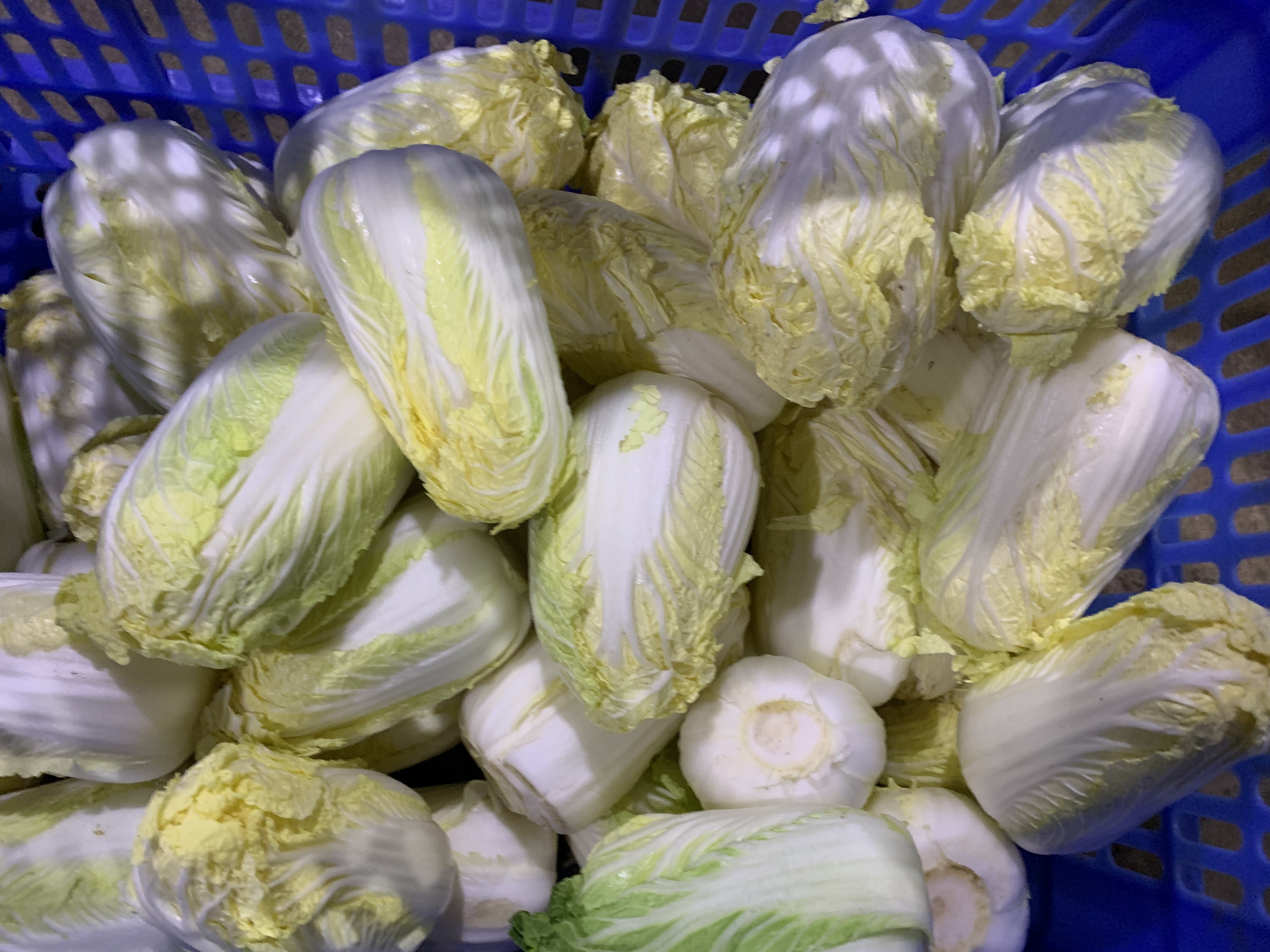 买菜需要什么手续，买菜需要注意哪些事项