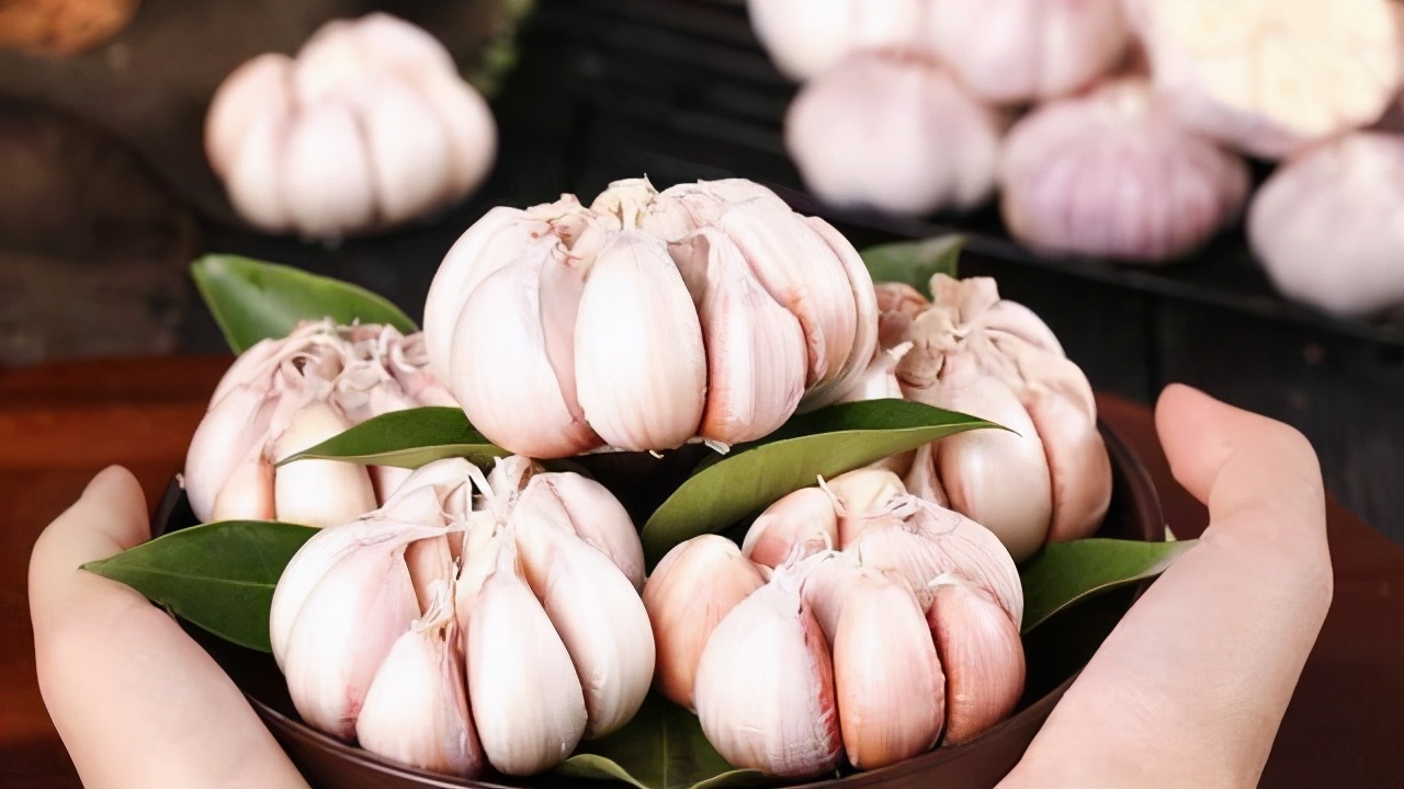 你真的会挑大蒜吗?这几种大蒜白给都不要,菜贩往往不会告诉你