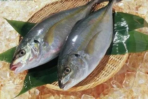 淡水鱼和海鱼有什么区别,淡水鱼和海鱼哪种更好?