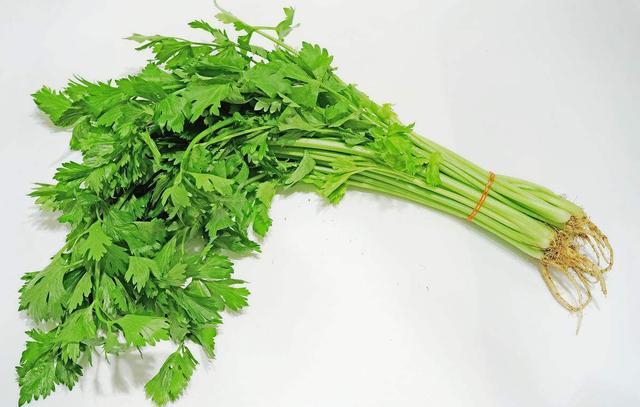 芹菜正确的三种采收方法,让你的芹菜怎么吃也吃不完