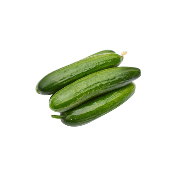 乳黄瓜 